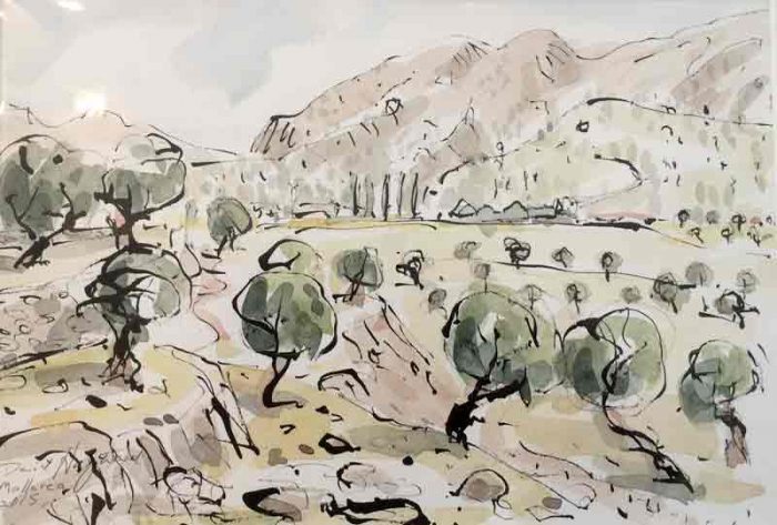 David Hayward Selected Works - Olive Grove Mallorca 2015