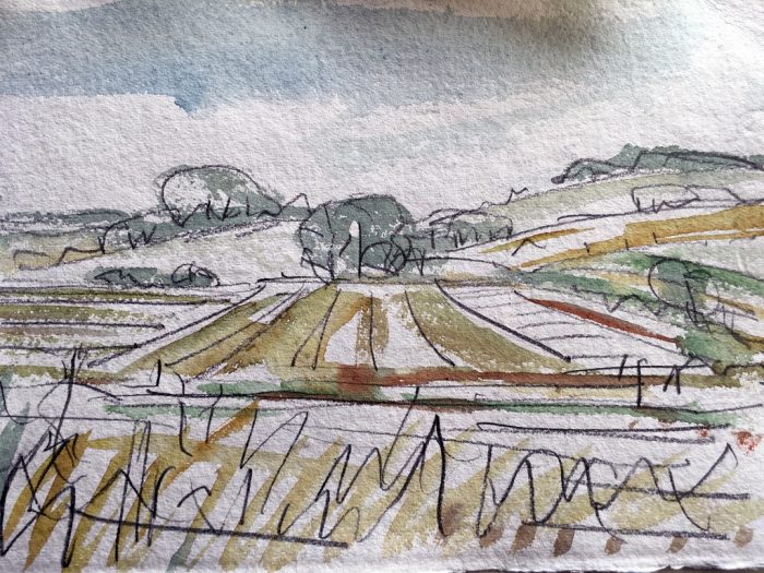 David Hayward Selected Works - Fields near Crundale, 2020