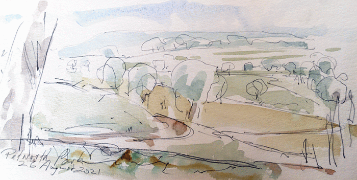 David Hayward Selected Works - Petworth Park, August 2021